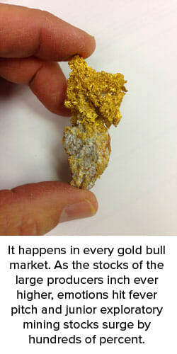 gold nugget